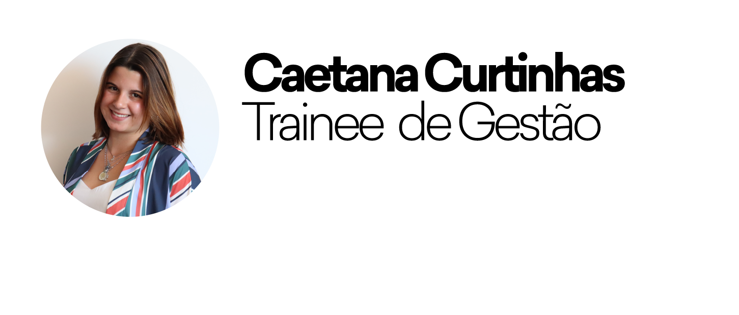 ARTIGOS ASSINATURA CC