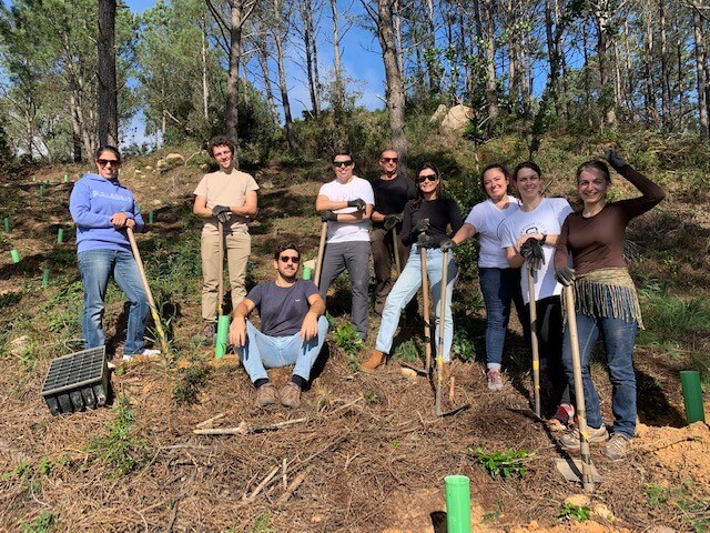 Atividade Responsabilidade Social - Plantação de Árvores no Parque Sintra-Cascais (20/Nov/2023)