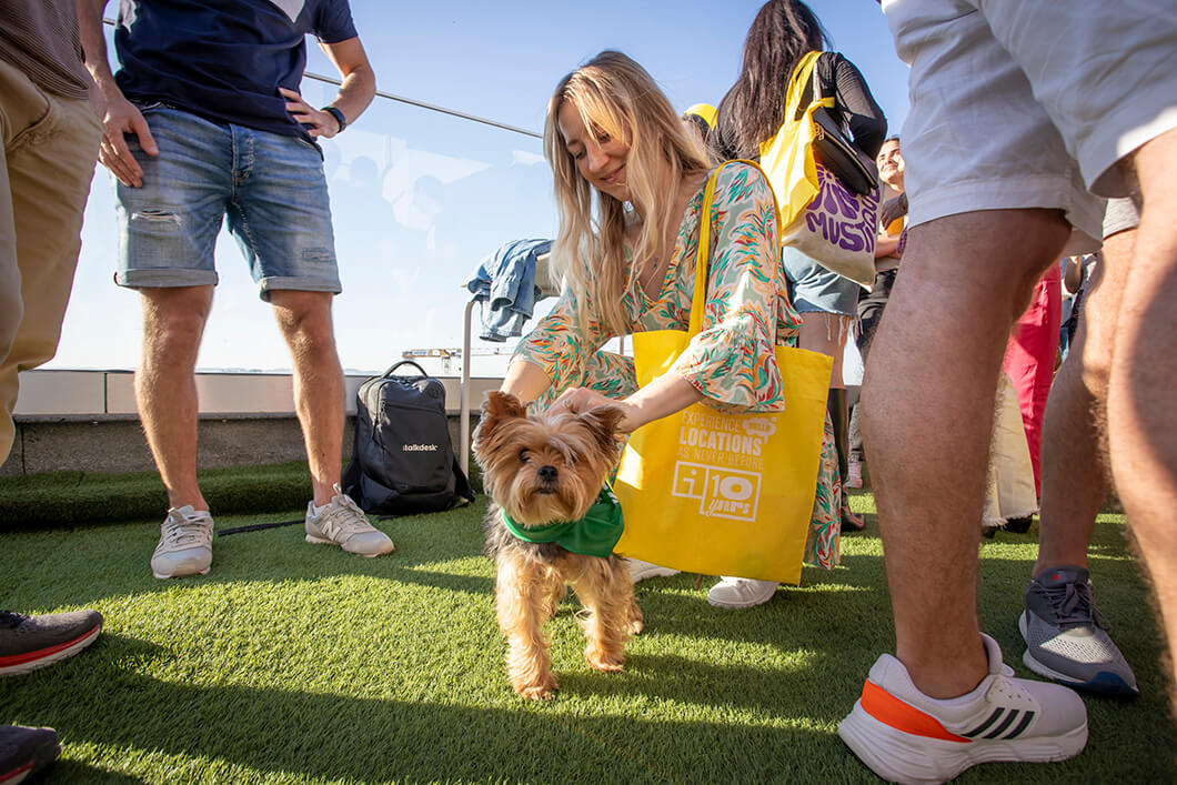 Temos todo o orgulho do mundo em ser pet friendly! Os nossos patudos adoram o IDEA.