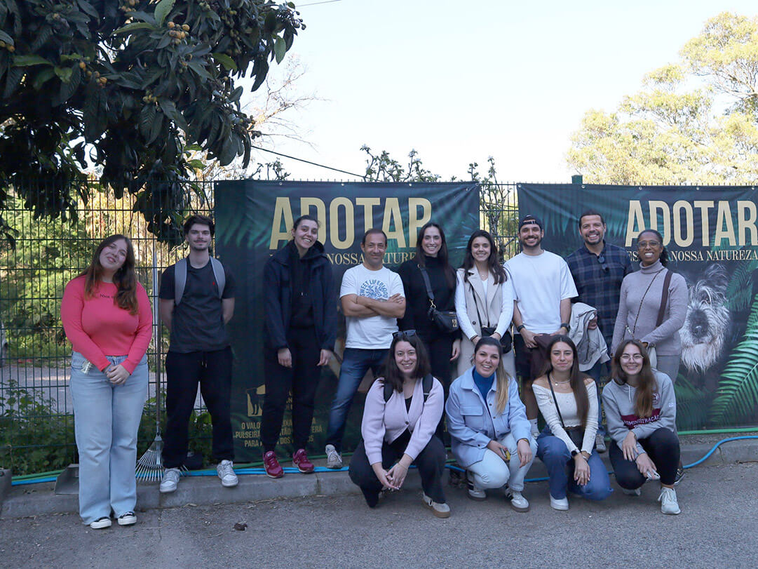 Equipa Banco Atlântico Europa