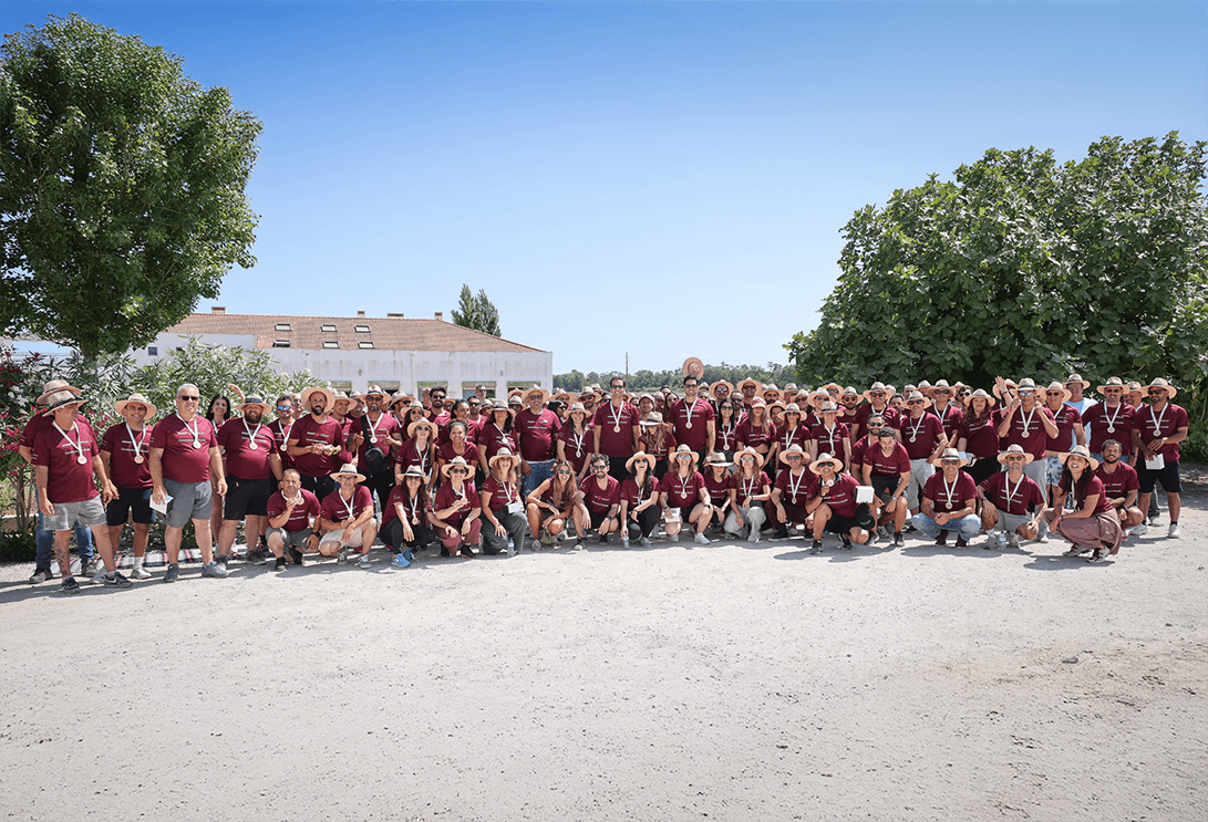 Equipa MAP Group