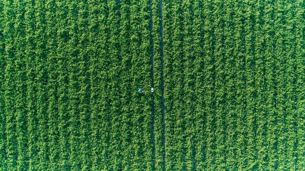 Equipa TIMAC AGRO - VITAS PORTUGAL