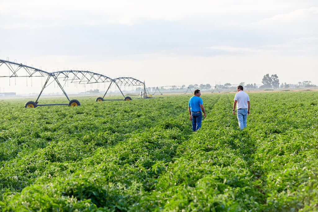 Equipa TIMAC AGRO - VITAS PORTUGAL