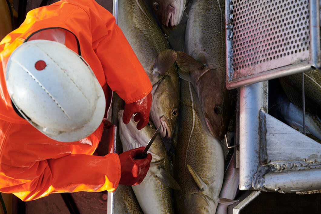 Equipa Lerøy Seafood Group