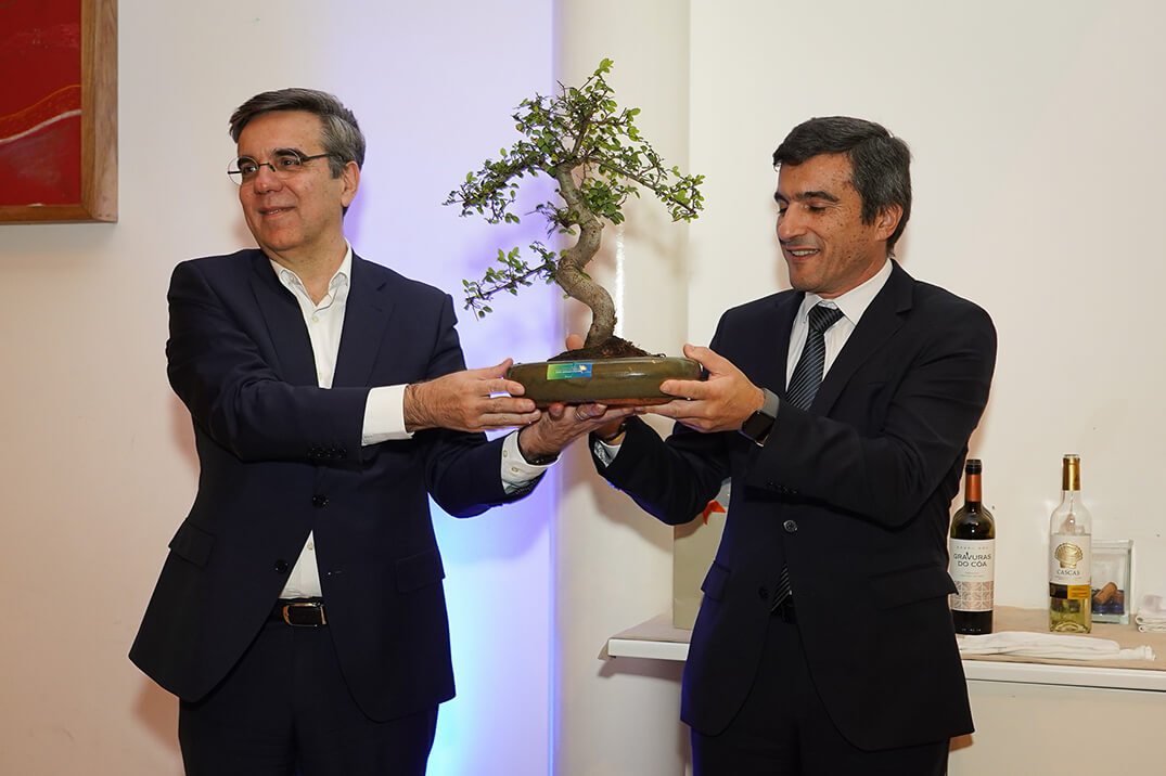 Equipa Locarent, SAn