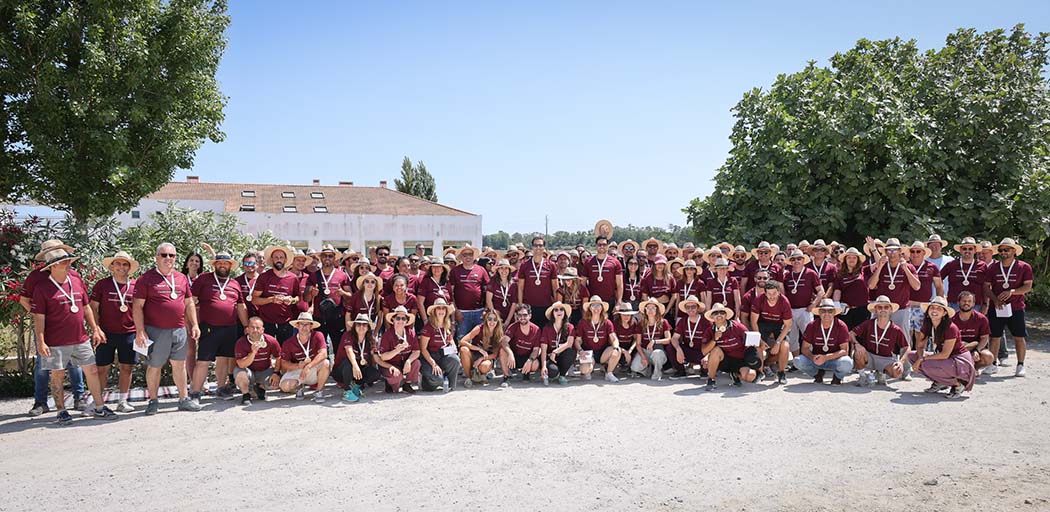 OpenDay 2025