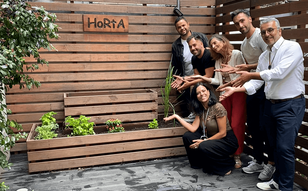 Horta Comunitária Medicare