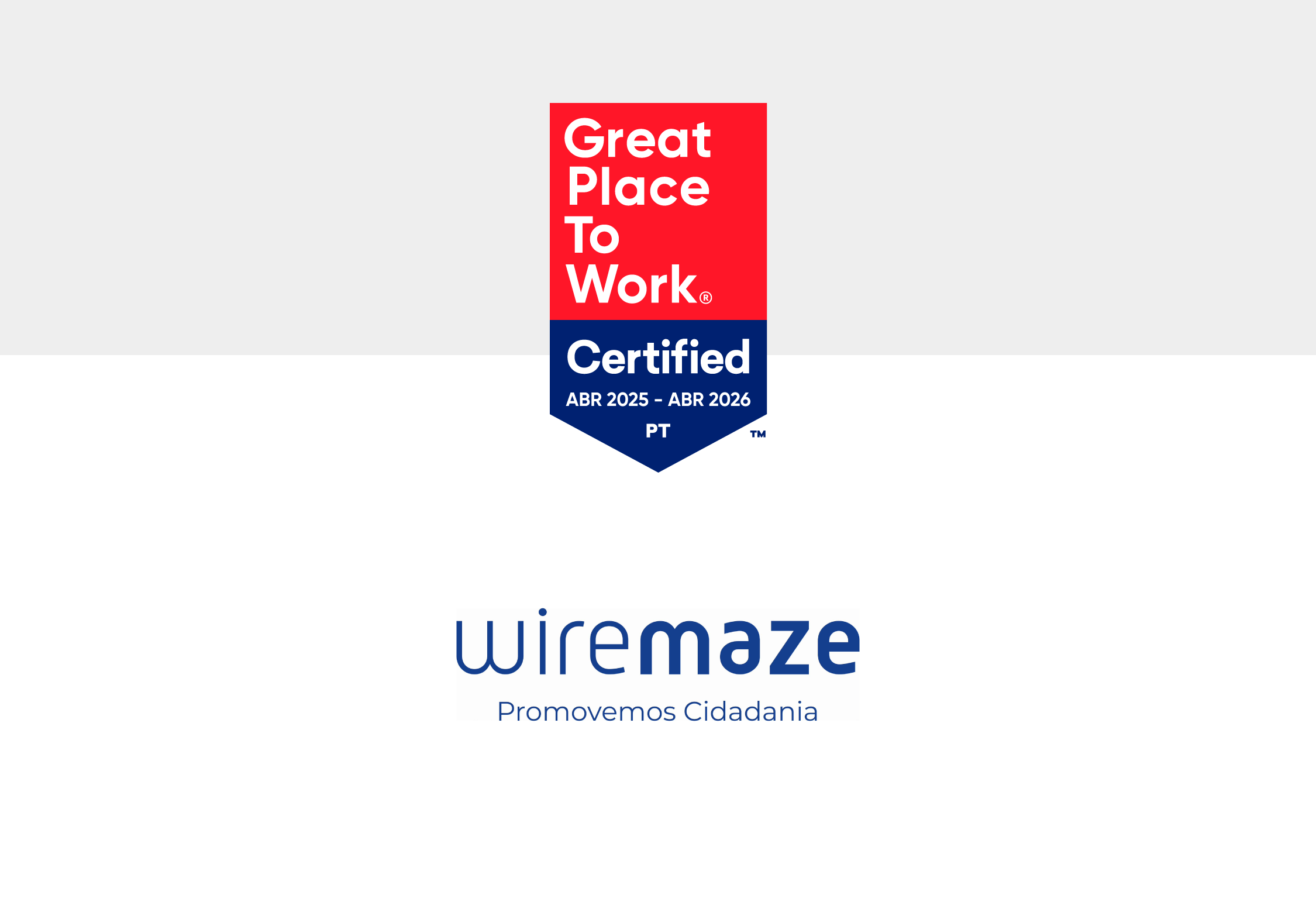 WireMaze